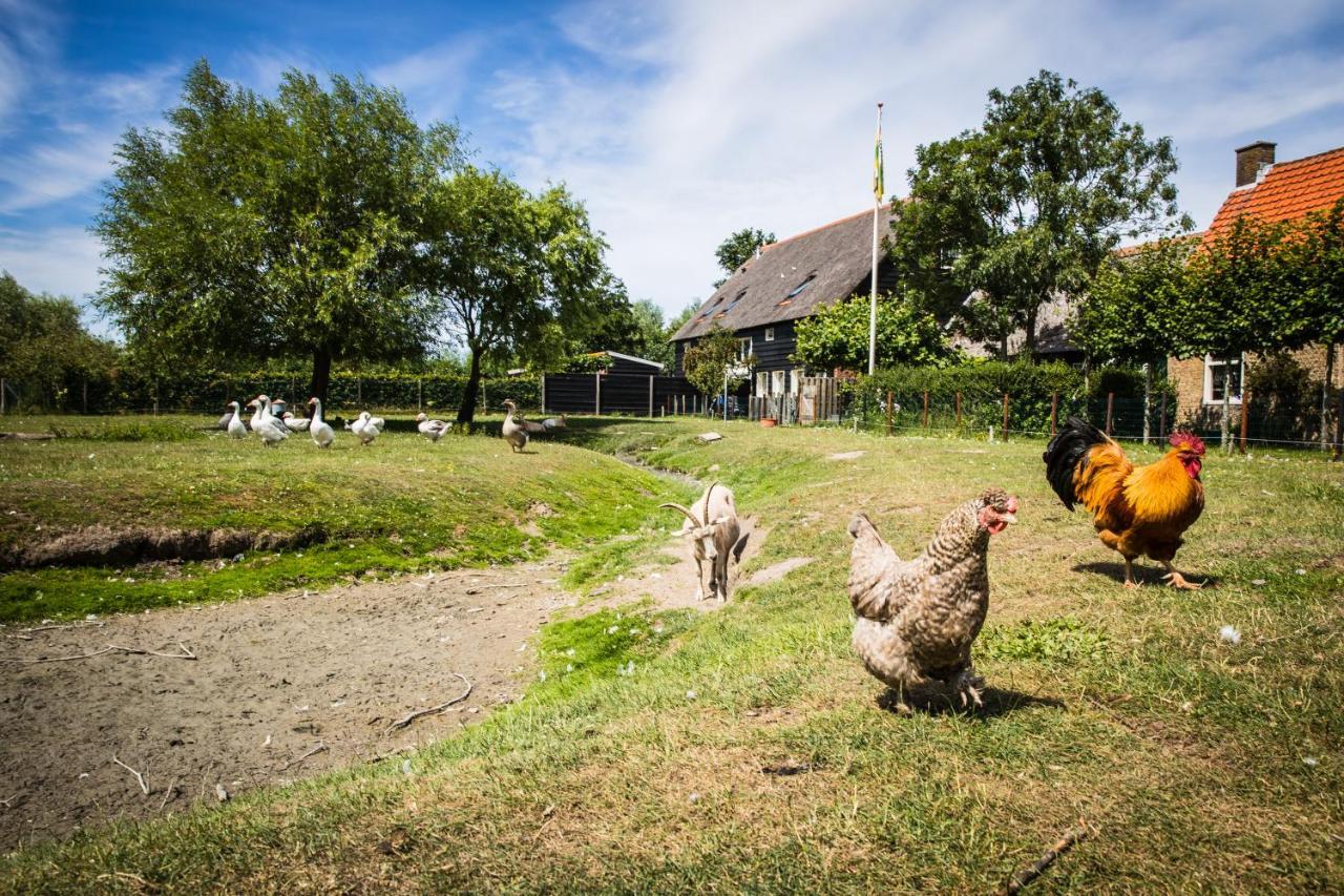 Welcome In - Oranjezon - Vakantiehuizen 2 & 4 Personen เฟราเวนโปลเดอร์ ภายนอก รูปภาพ