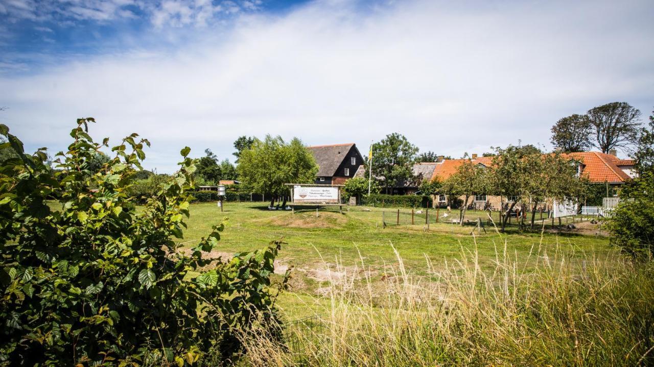 Welcome In - Oranjezon - Vakantiehuizen 2 & 4 Personen เฟราเวนโปลเดอร์ ภายนอก รูปภาพ